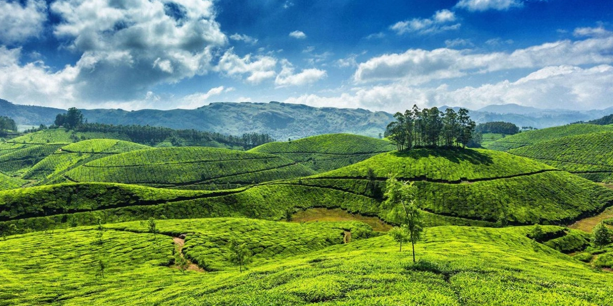 God’s Own Country – Complete Kerala Experience